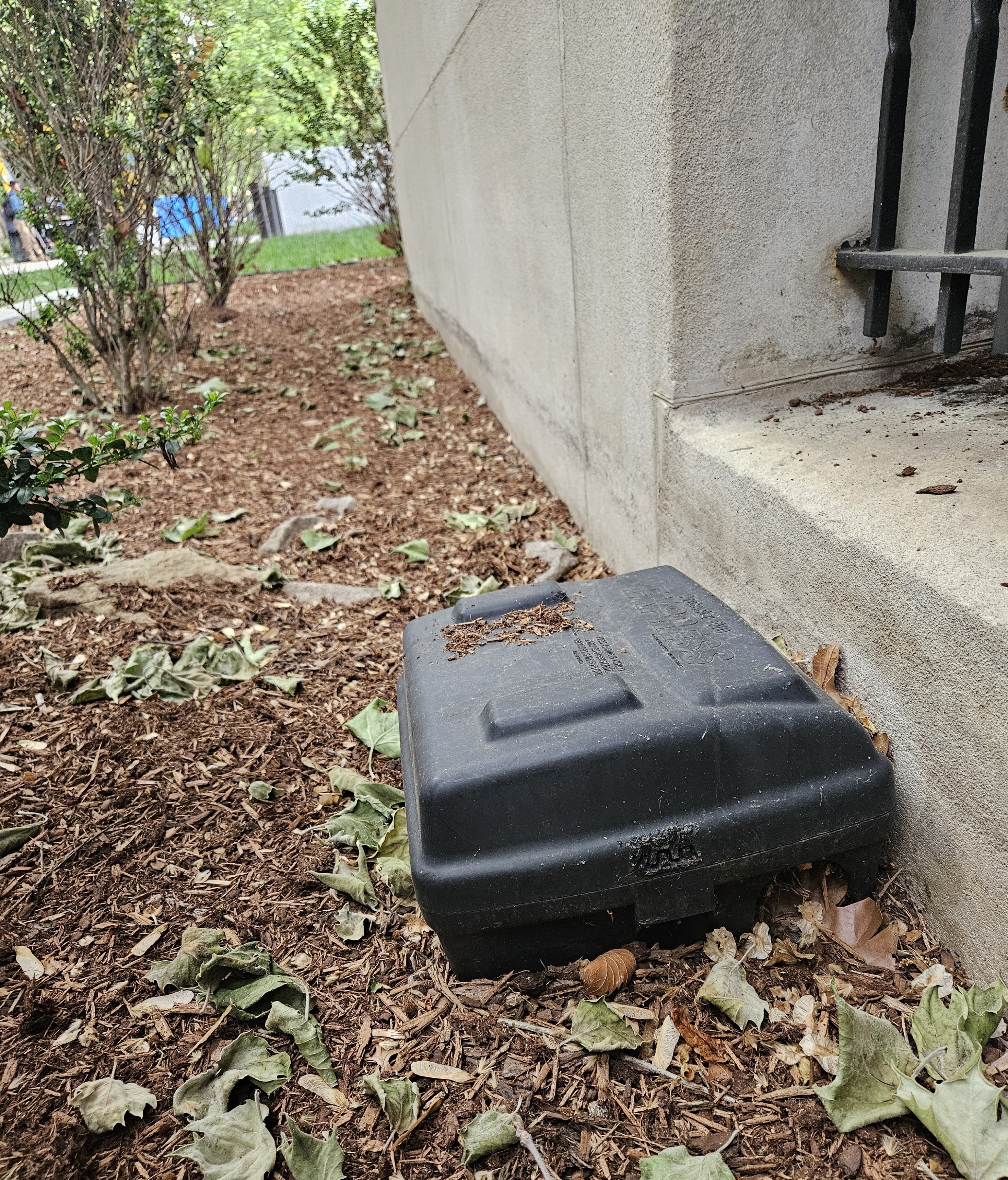 A black bait box on the Yale Campus near the Beinecke Library during the Rachel Carson exhibit in May 2026.