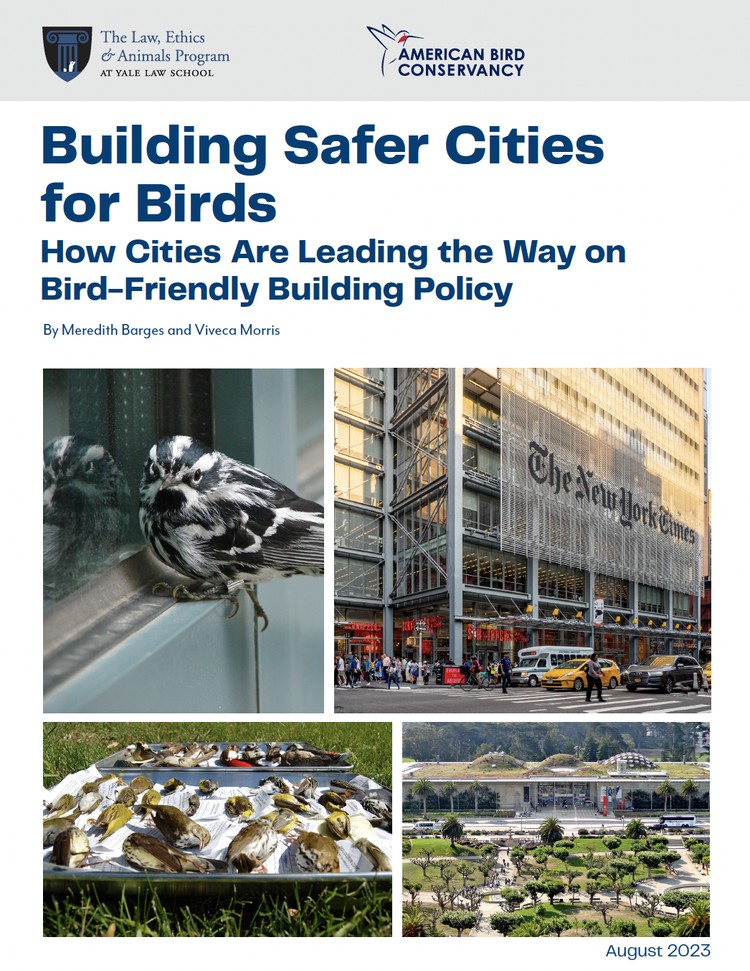 Building Safer Cities for Birds